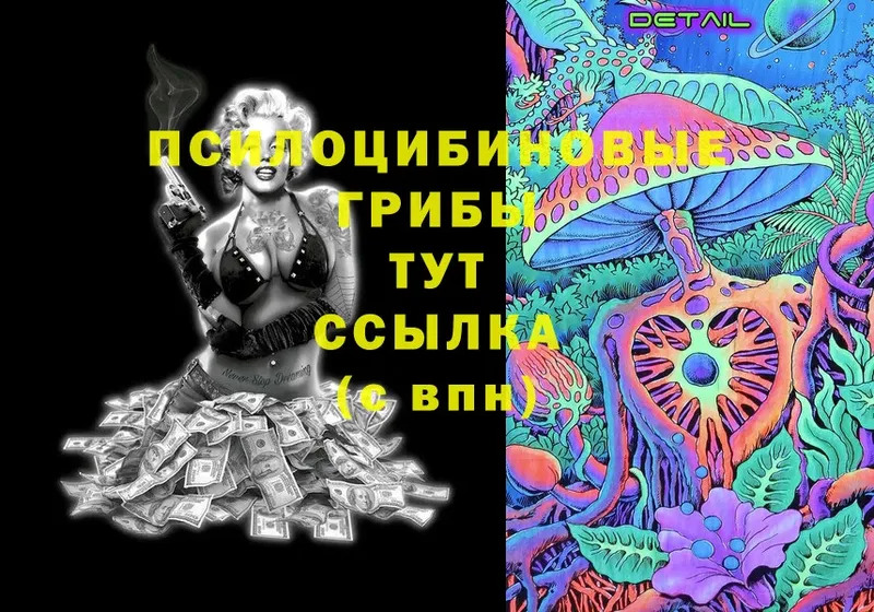 Галлюциногенные грибы Psilocybine cubensis  Гремячинск 